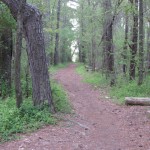 trailrunning1